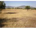 Terreno Venta Onil, Onil
